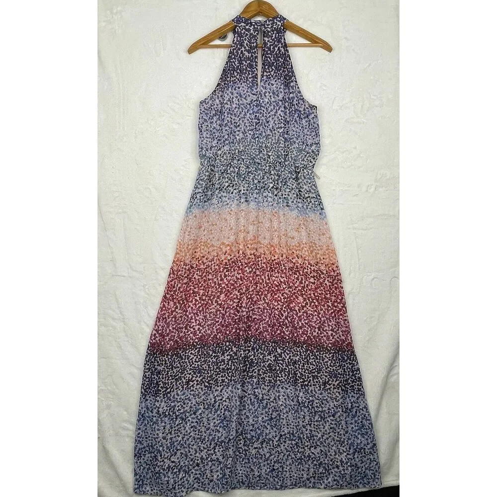 Donna Ricco Maxi Dress Womens Size 8 Sleeveless Lined Multicolor Boho - Picture 2 of 14
